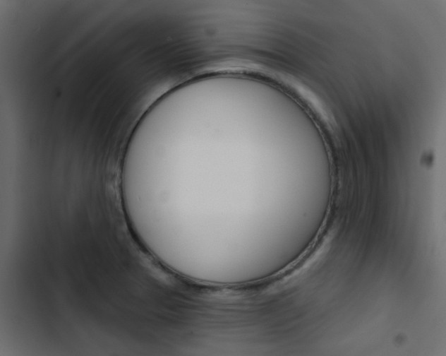 X0000103911329200809191110
