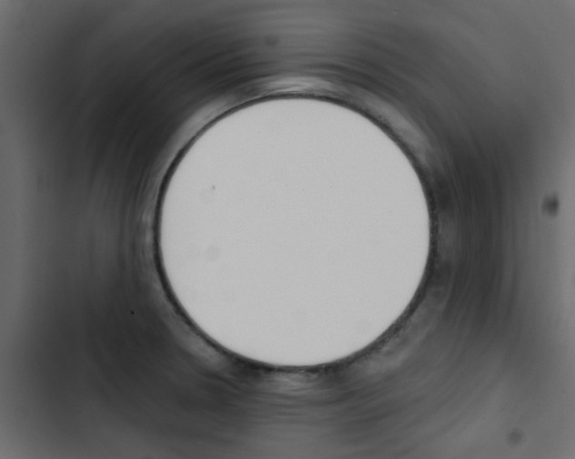 X0000103911330200809191110