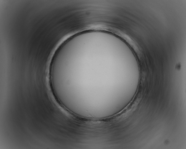 X0000103911331200809191110
