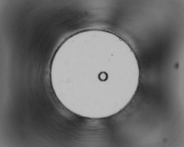 X0000103911332200809191110