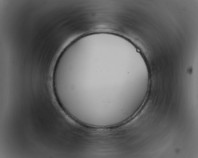 X0000103911333200809191110
