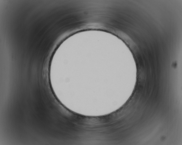 X0000103911334200809191110