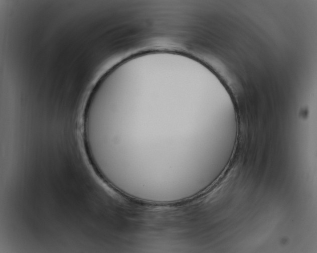 X0000103911335200809191110