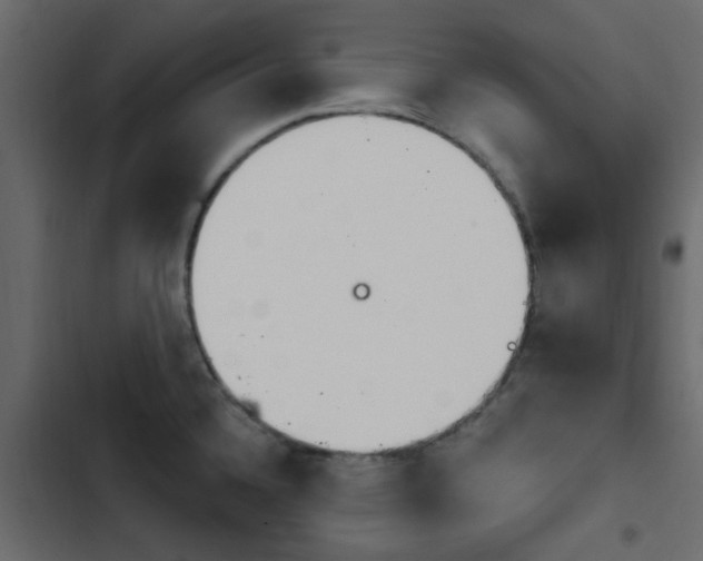 X0000103911336200809191110