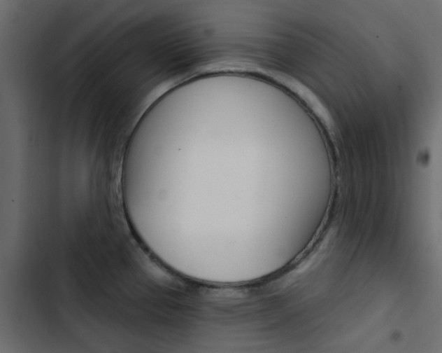 X0000103911337200809191110