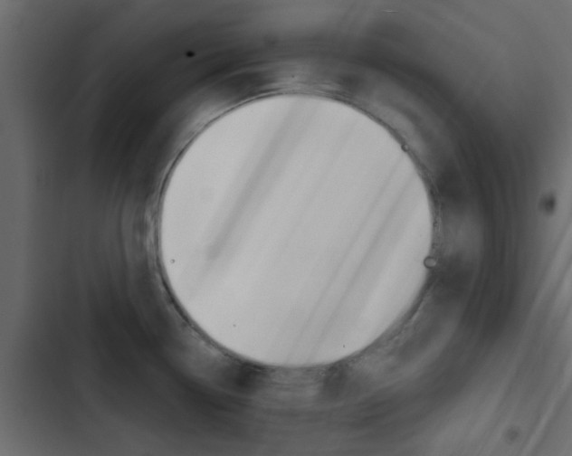 X0000103911338200809191110