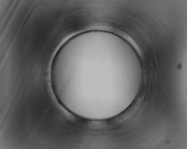 X0000103911339200809191110