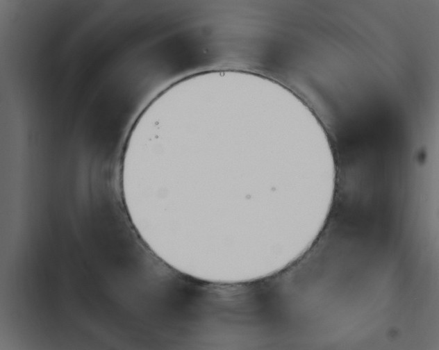 X0000103911340200809191110