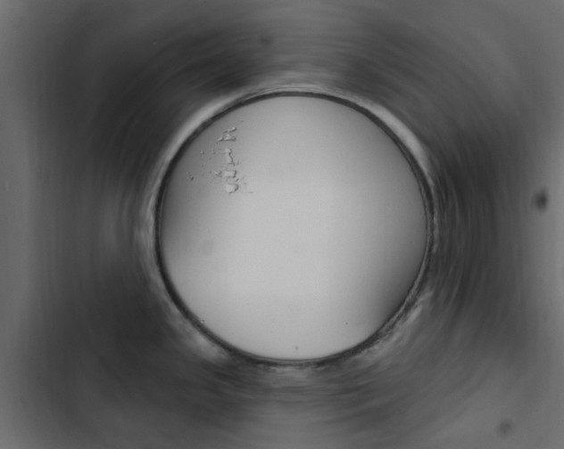X0000103911341200809191110