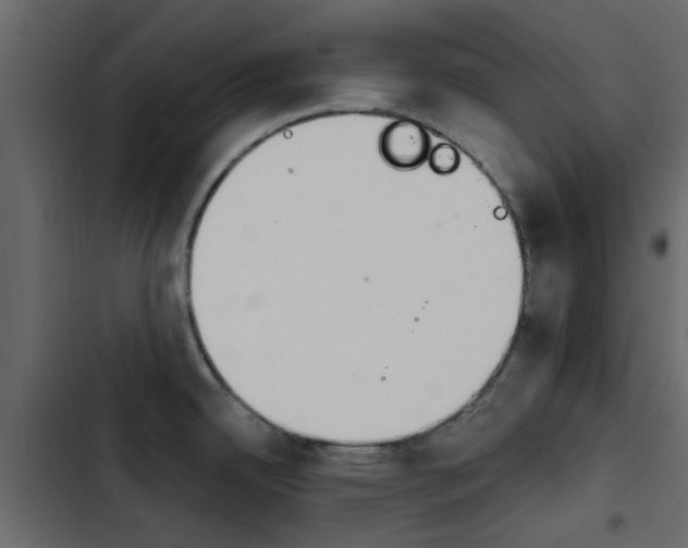 X0000103911342200809191110