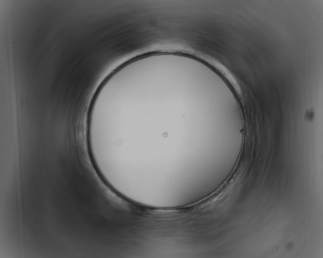 X0000103911343200809191110
