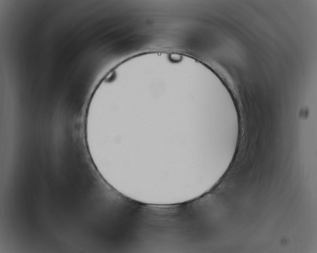 X0000103911344200809191110