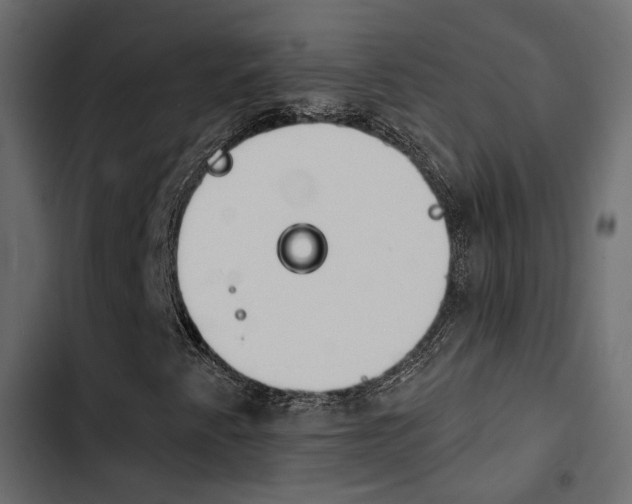 X0000103911345200809191109