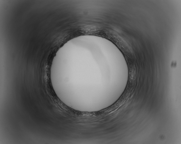 X0000103911346200809191109
