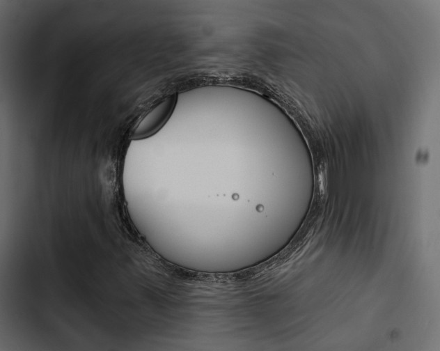 X0000103911347200809191109