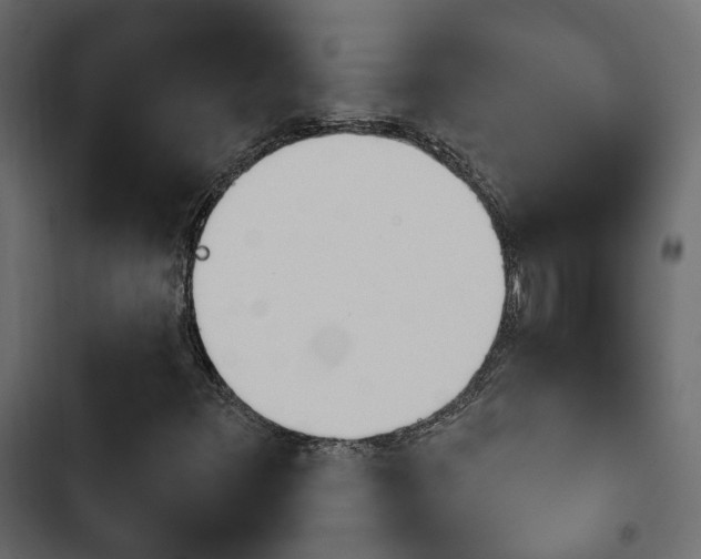 X0000103911348200809191109