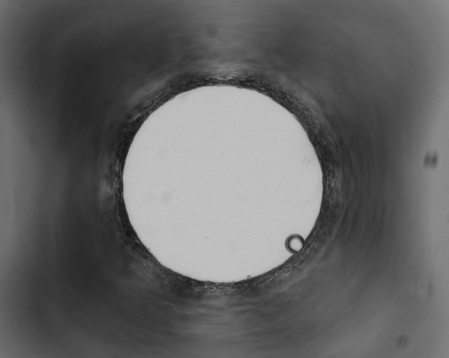 X0000103911349200809191109