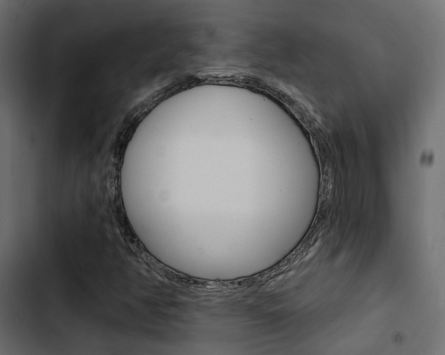 X0000103911350200809191109