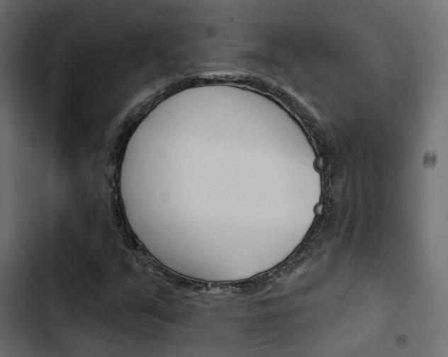 X0000103911351200809191109