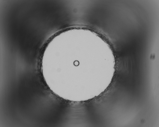 X0000103911352200809191109