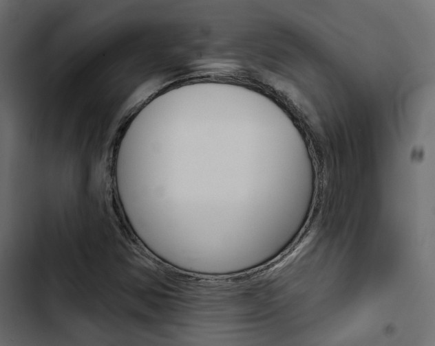 X0000103911354200809191109