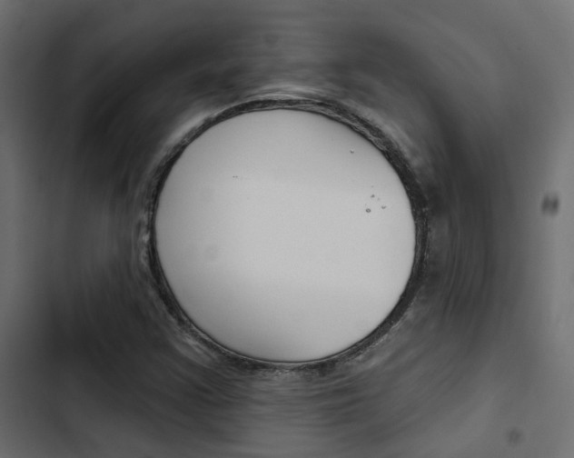 X0000103911355200809191109
