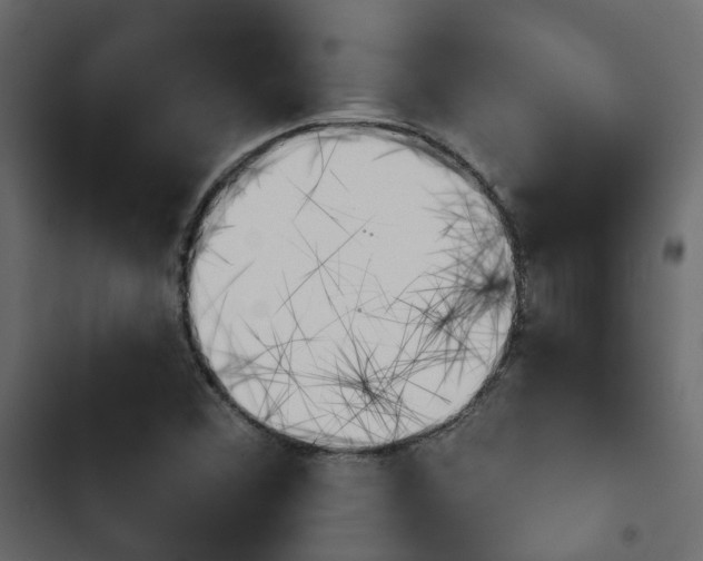 X0000103911356200809191109