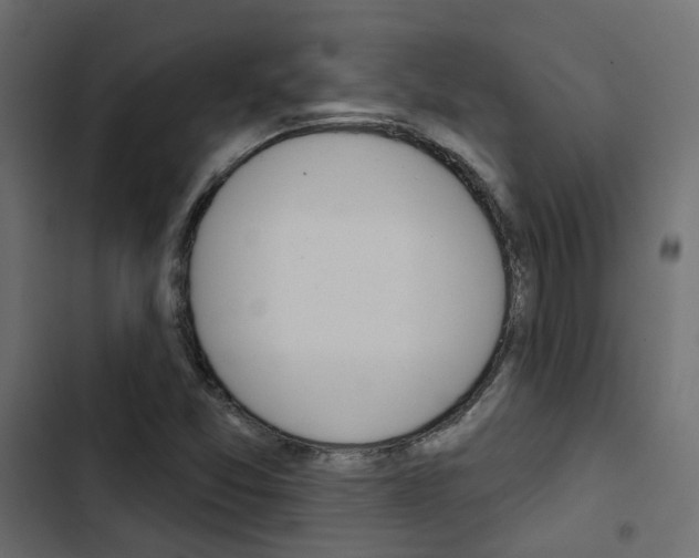 X0000103911357200809191109
