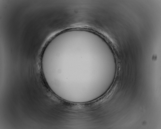 X0000103911358200809191109