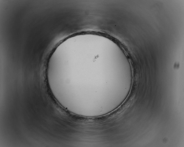 X0000103911359200809191109