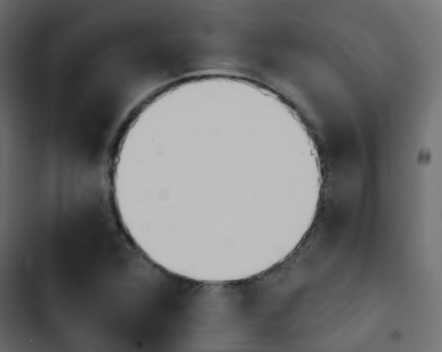 X0000103911360200809191109