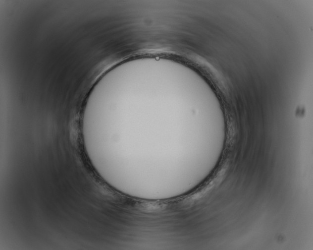 X0000103911361200809191109