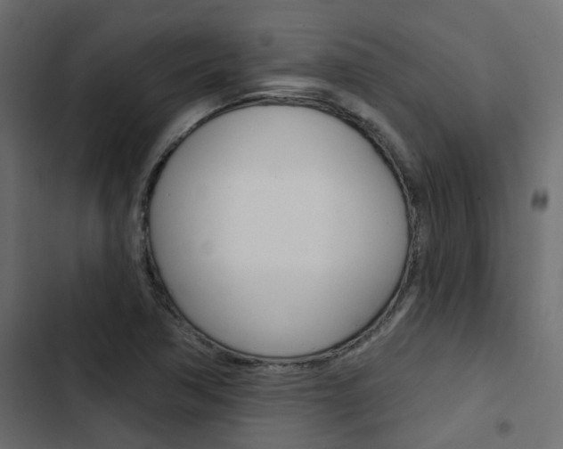 X0000103911362200809191109