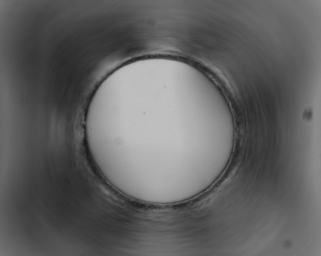 X0000103911363200809191109