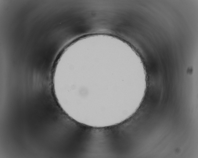X0000103911364200809191109