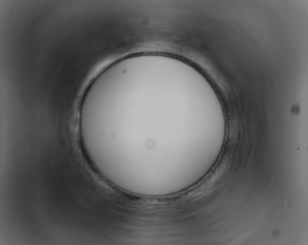 X0000103911366200809191109