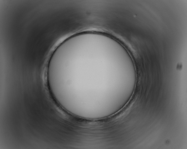X0000103911367200809191109