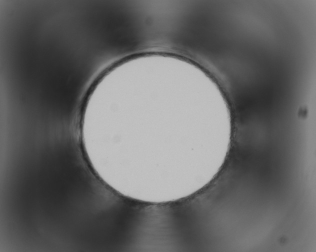 X0000103911368200809191109