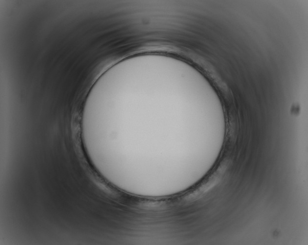 X0000103911369200809191109