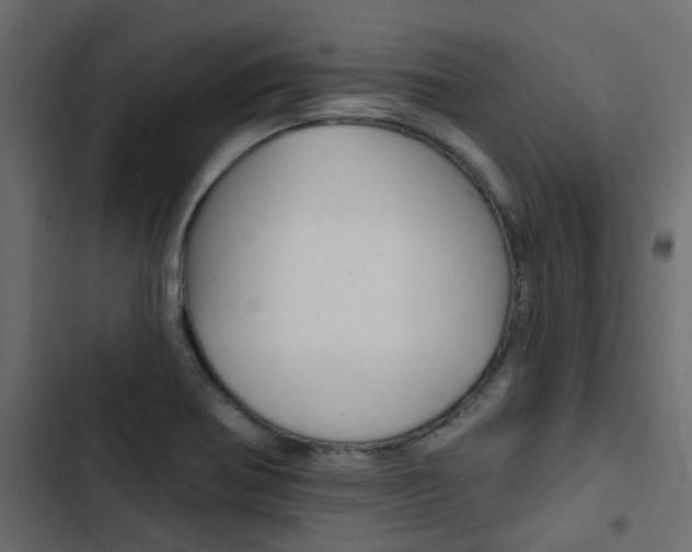 X0000103911370200809191109