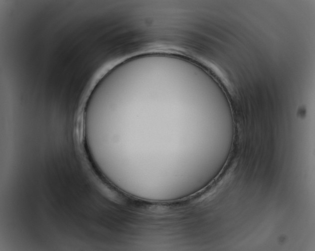X0000103911371200809191109