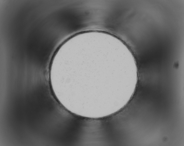 X0000103911372200809191109