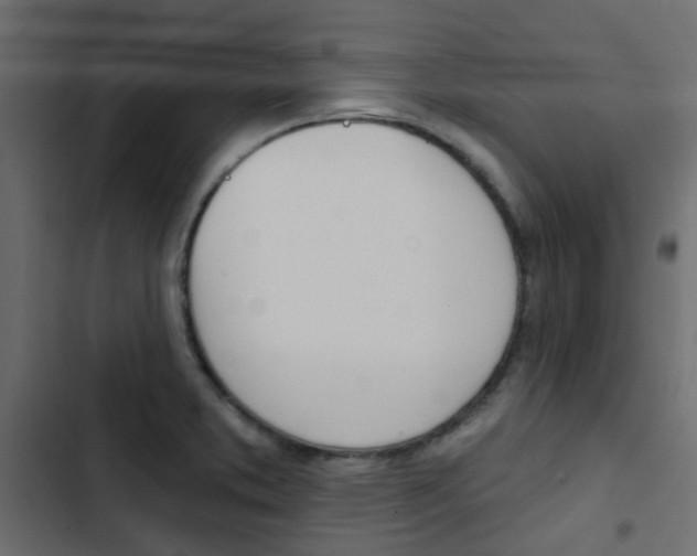 X0000103911373200809191109