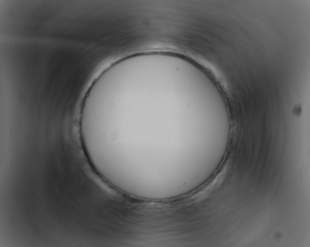 X0000103911374200809191109