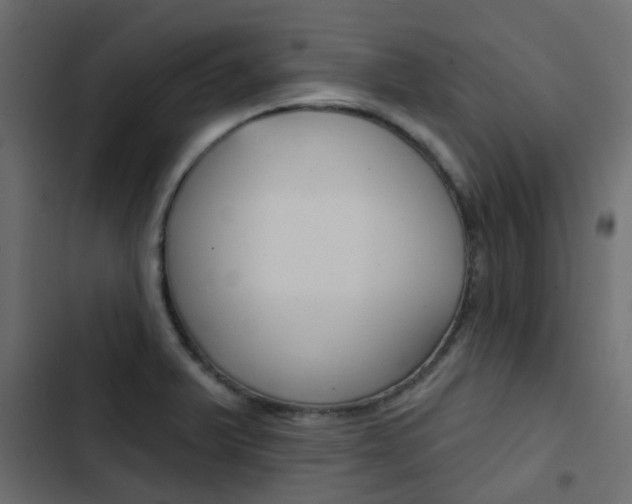 X0000103911375200809191109