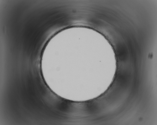 X0000103911376200809191109