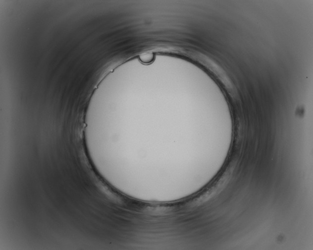 X0000103911377200809191109