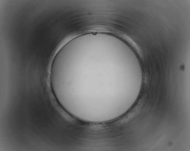 X0000103911378200809191109