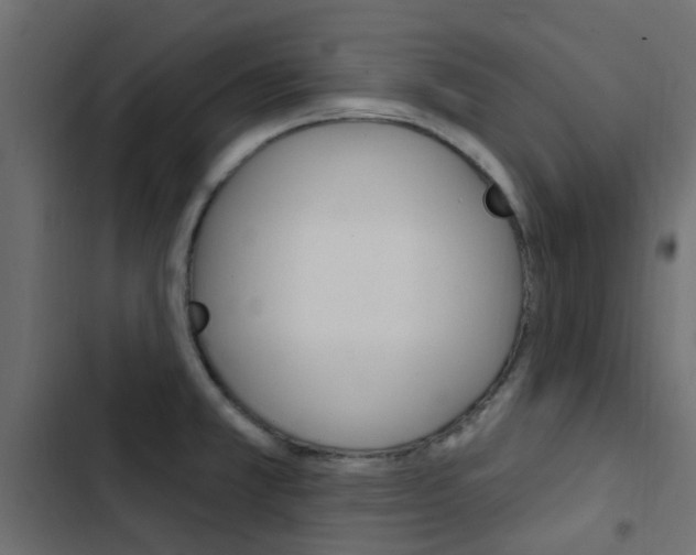 X0000103911381200809191109