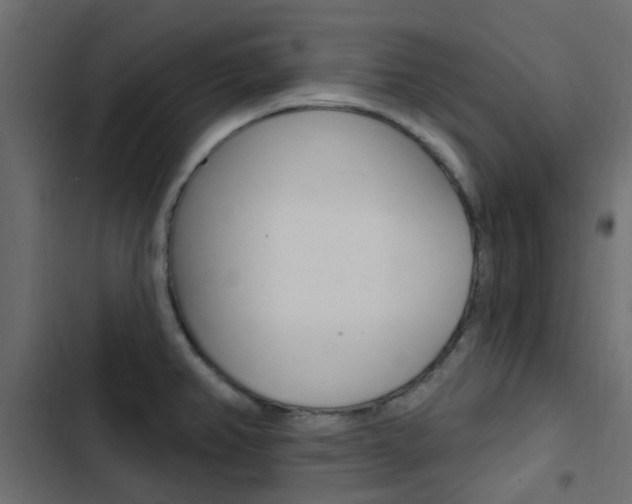 X0000103911382200809191109